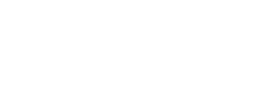 ERNE Security Services Limited image 1
